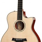 Taylor GSce-LTD-C