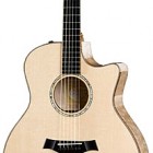 Taylor GSce-LTD-M