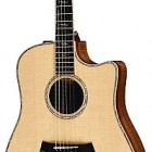 Taylor K10ce