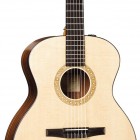 Taylor NS24e-G-L Left Handed