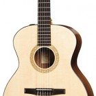 Taylor NS24e-G