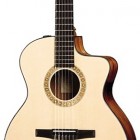 Taylor NS24ce-G