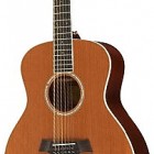 Taylor GS5 12e