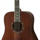 Hagstrom Mora Dreadnought CE