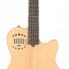 Godin Multiac Duet Ambiance