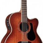 Alvarez PJ85SC12DVS 