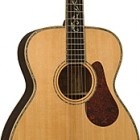 Alvarez FYM500V