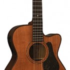 Alvarez FYM96C