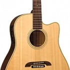 Alvarez DY40C