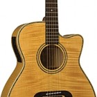 Alvarez WY1M Bob Weir Model