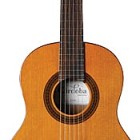 Requinto 520