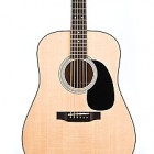 Martin D-18 P