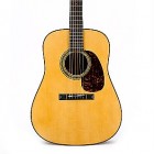 Martin D-21 Special