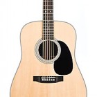 Martin D-28 P