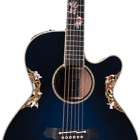 Takamine 2011 Limited Edition