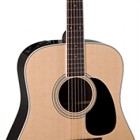 Takamine Glenn Frey EF360GF