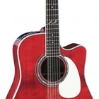 Takamine John Jorgenson JJ325SRC12