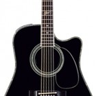 Steve Wariner SW341SC