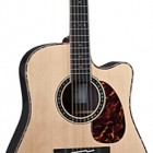 Takamine EF36