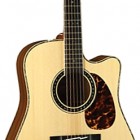 Takamine EF37