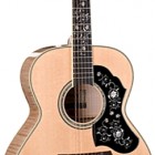 Takamine EF450DLX