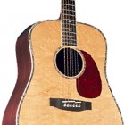 Takamine TNV360S