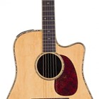 Takamine TNV360SC