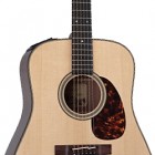 Takamine TF340SBG