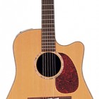 Takamine TAN15C