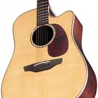 Takamine TAN16C