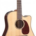 Takamine TAN16C12