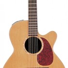 Takamine TAN45C