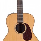 Takamine TAN77