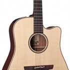 Takamine ESN10C