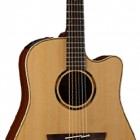 Takamine ETN10C