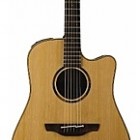 Takamine ETN10C12