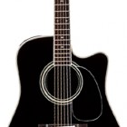 Takamine EF341SC