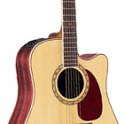 Takamine EF360SC