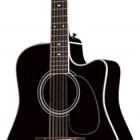 Takamine EF381SC