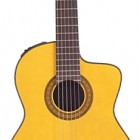 Takamine C132C