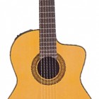 Takamine EC132SC