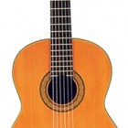 Takamine H5