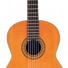 Takamine TH5