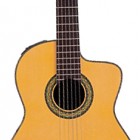 Takamine TH5C