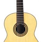 Takamine TH8SS