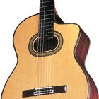 Takamine TH90