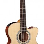 Takamine EG512C