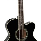 Takamine EGB2S