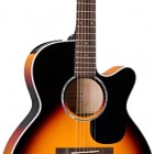 Takamine EG450SMCSB