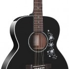 Takamine EG451DLX